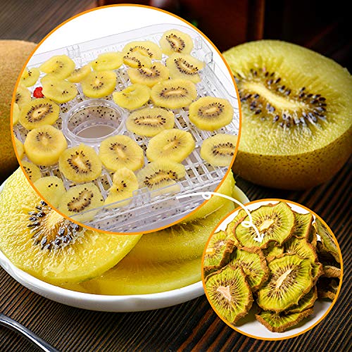 400W Electric Dehydrator Machine with 8 Trays, Digital Timer