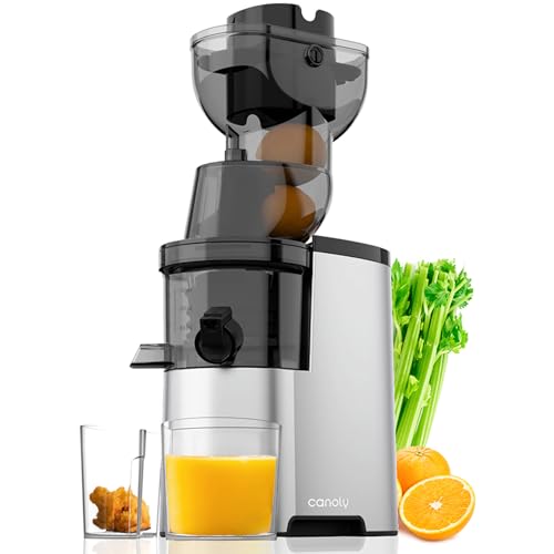 Powerful 4.1-inch Masticating Juicer Machines for Raw Food