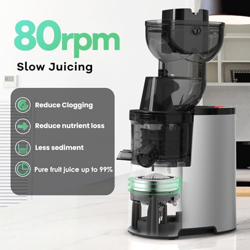 Powerful 4.1-inch Masticating Juicer Machines for Raw Food
