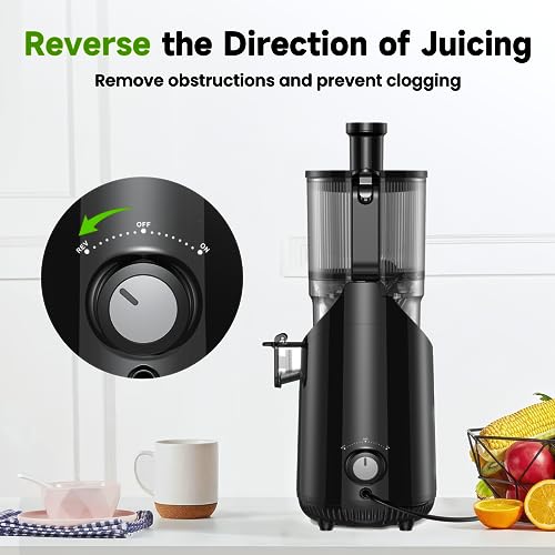 Amumu Cold Press Masticating Juicer with Extra Large Chute