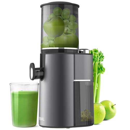 Master Cold Press Juicer with Extra Large Chute