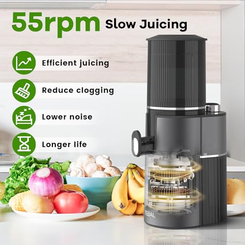 Master Cold Press Juicer with Extra Large Chute