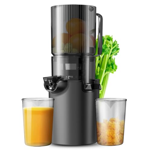 Large Caliber Slow Cold Press Juicer, High Juice Yield