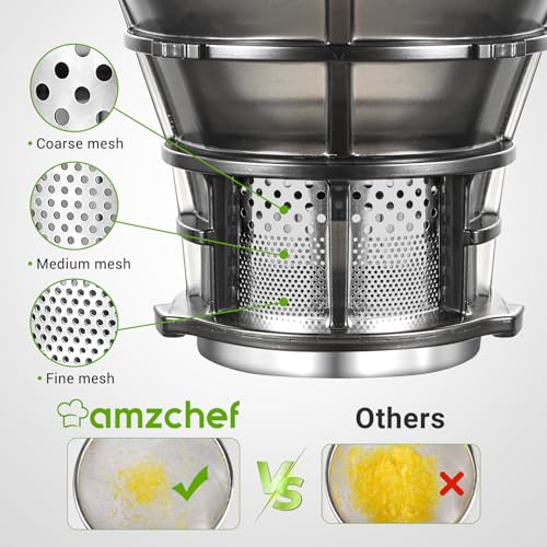 AMZCHEF Self-Feeding Masticating Juicer for Whole Fruits & Vegetables