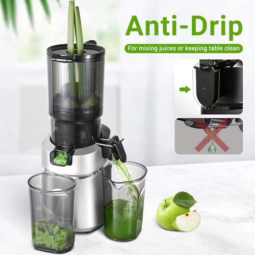 AMZCHEF Self-Feeding Masticating Juicer for Whole Fruits & Vegetables