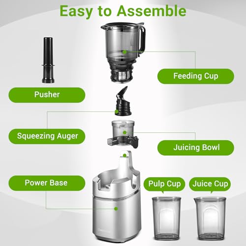 AMZCHEF Self-Feeding Masticating Juicer for Whole Fruits & Vegetables
