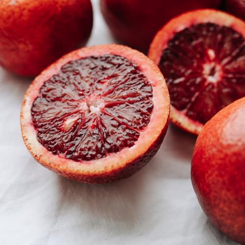 Blood Orange Slices & Wheels | 45+ Servings | Natural