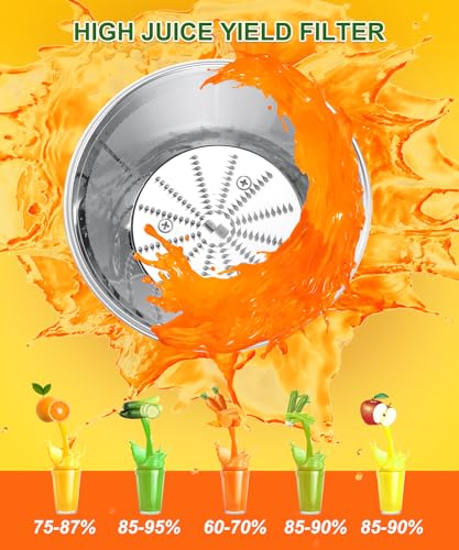 600W Juicer Machine with Wide Chute and 3 Speeds