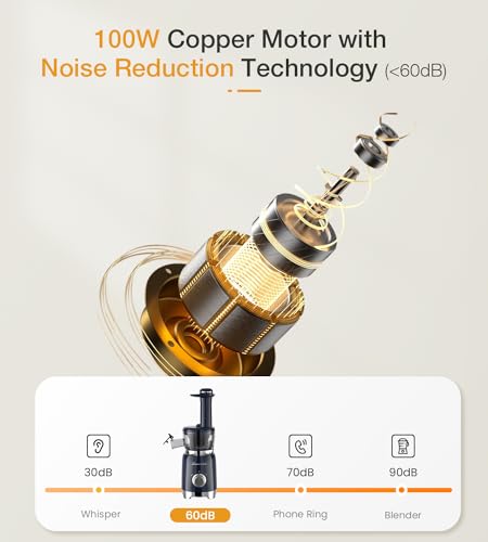 ZASMIRA Cold Press Juicer for Fruits and Vegetables