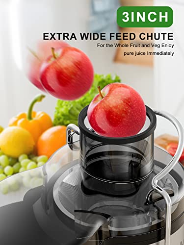 500W Juicer with 3” Wide Mouth for Whole Fruits