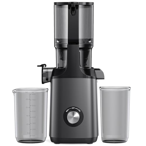 JoyBear Cold Press Masticating Juicer with Extra Large Chute