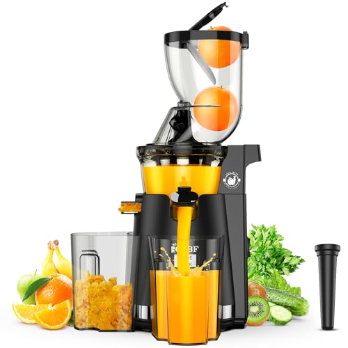 Cold Press Juicer Machines, 300W Masticating Juicer with Large Feed Chute
