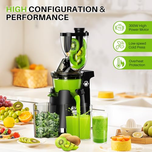 Cold Press Juicer Machines, 300W Masticating Juicer with Large Feed Chute