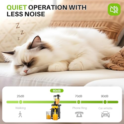 Cold Press Juicer Machines, 300W Masticating Juicer with Large Feed Chute