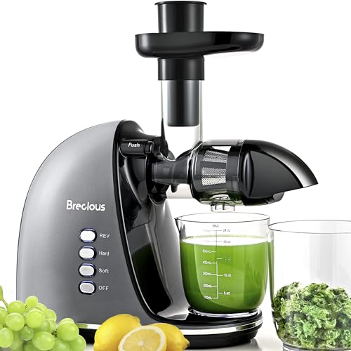 Brecious Slow Masticating Juicer, 2 Speeds, Quiet Motor