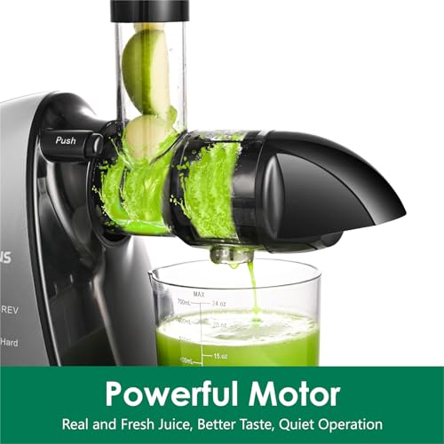 Brecious Slow Masticating Juicer, 2 Speeds, Quiet Motor