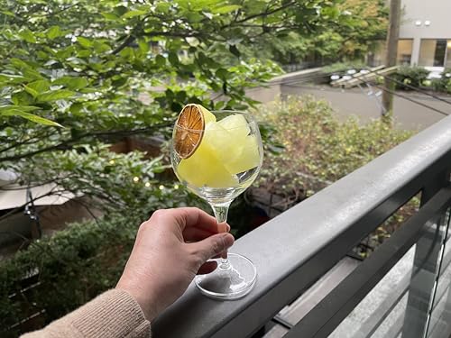 Dehydrated Lemon Slices and Wheels for Cocktail Garnish