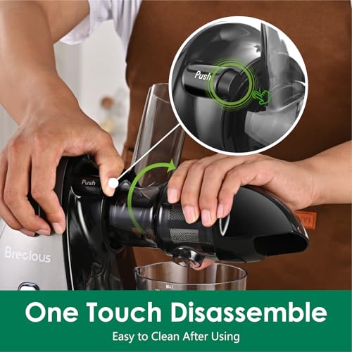 Brecious Slow Masticating Juicer, 2 Speeds, Quiet Motor