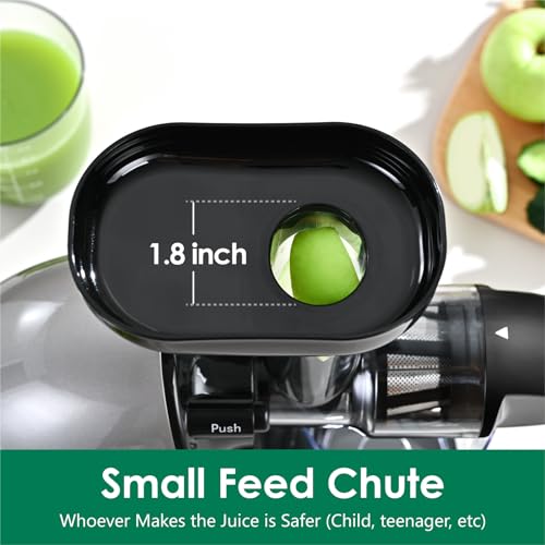 Brecious Slow Masticating Juicer, 2 Speeds, Quiet Motor