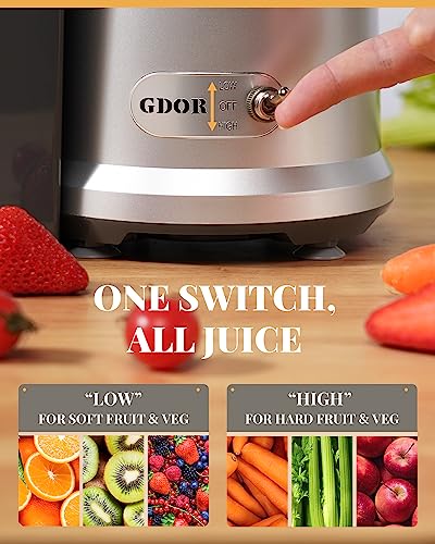 1200W GDOR Juicer with 3.2" Feed Chute, Titanium Cutting