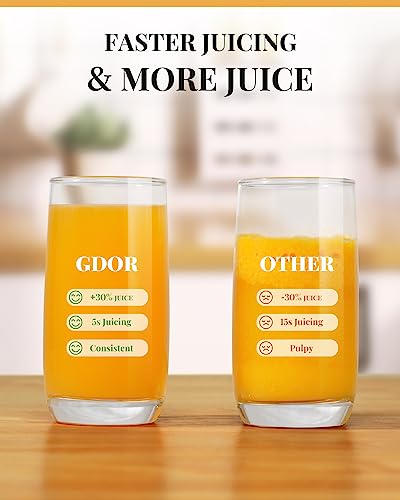 1200W GDOR Juicer with 3.2" Feed Chute, Titanium Cutting