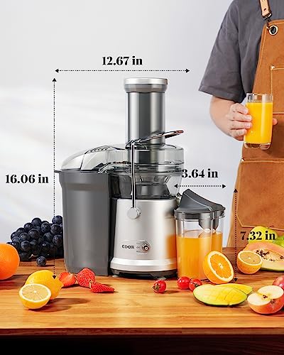 1200W GDOR Juicer with 3.2" Feed Chute, Titanium Cutting