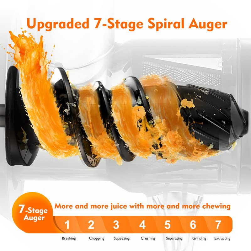 AMZCHEF Masticating Juicer Machines: Slow Cold Press, High Yield