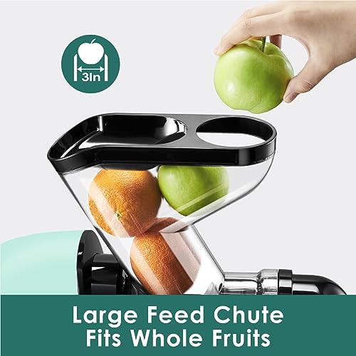 Wide Feeding Chute Cold Press Juicer, BPA-Free, 2 Speed
