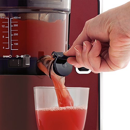 Omega VSJ843QR Masticating Juicer, Compact Cold Press, Red
