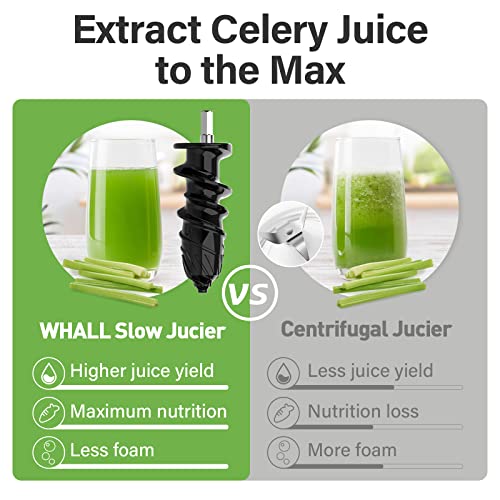 Gray Whall Masticating Juicer: Cold Press for Raw Food