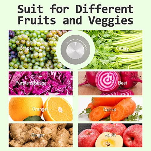 Gray Whall Masticating Juicer: Cold Press for Raw Food