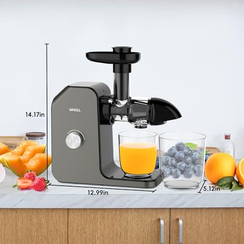 Gray Whall Masticating Juicer: Cold Press for Raw Food