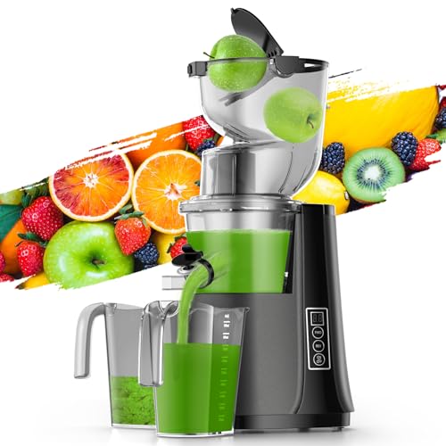 Masticating Juicer with Wide Dual Feed Chute