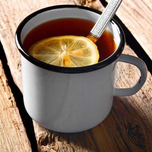 Dehydrated Lemon Slices Wheels | 100% Natural | 110g