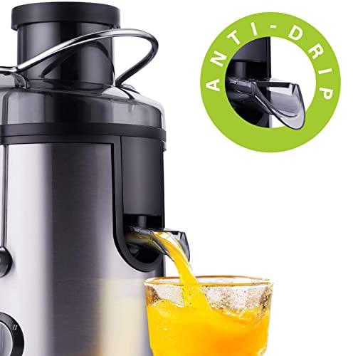 Large Feed Chute Juicer with Dual Speed