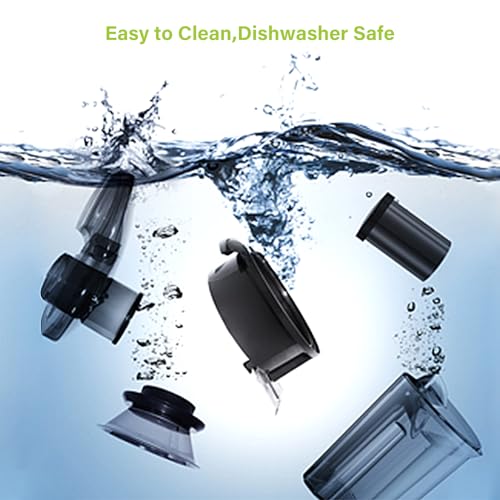 Large Feed Chute Juicer with Dual Speed