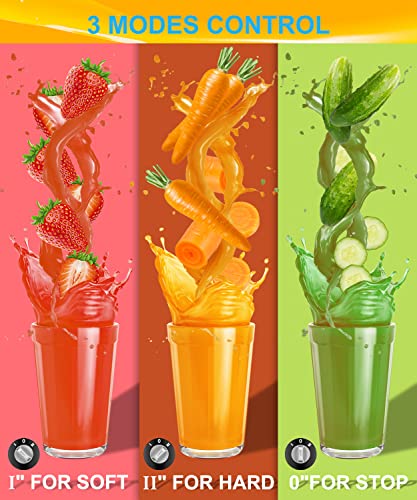 600W Wide Mouth Juicer with 2 Speed Settings