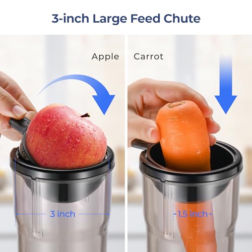 Compact Narcissus Cold Press Juicer with Large Chute