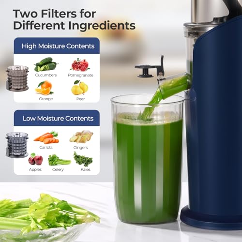 Compact Narcissus Cold Press Juicer with Large Chute