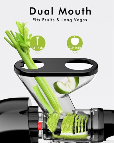 Compact SiFENE Cold Press Juicer, Masticating Vegetable/Fruit Squeezer