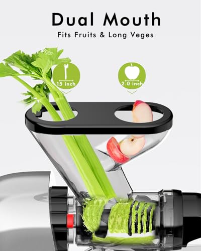 SiFENE Dual Feed Cold Press Juicer - Recipes Included
