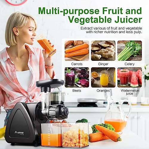 Aobosi Slow Masticating Juicer with Reverse Function