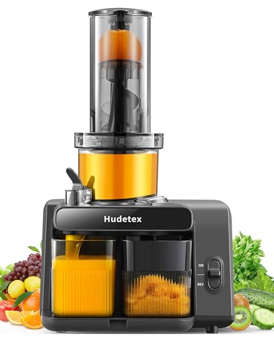 Whole Fruit & Vegetable Masticating Cold Press Juicer Machine