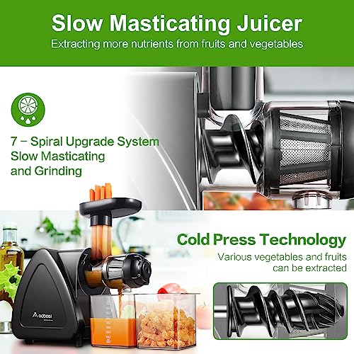 Aobosi Slow Masticating Juicer with Reverse Function