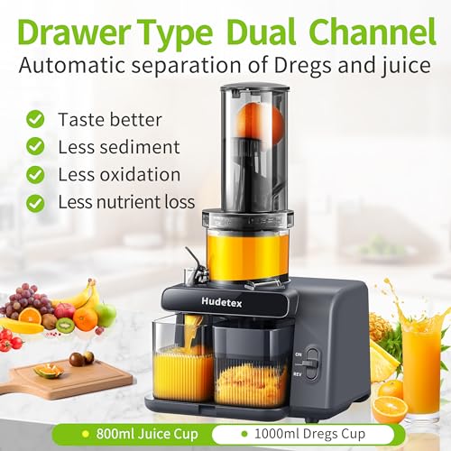 Whole Fruit & Vegetable Masticating Cold Press Juicer Machine