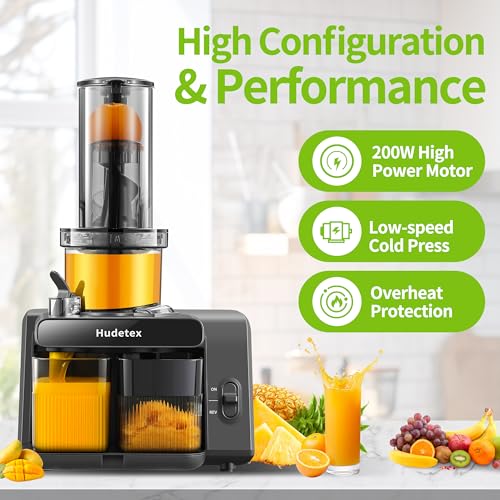 Whole Fruit & Vegetable Masticating Cold Press Juicer Machine