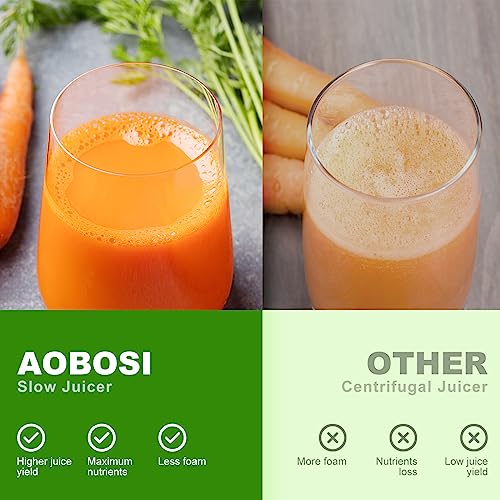 Aobosi Slow Masticating Juicer with Reverse Function