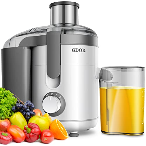 600W Raw Food Juicer with Titanium Cut Disc