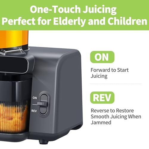 Whole Fruit & Vegetable Masticating Cold Press Juicer Machine