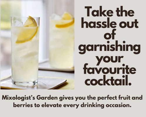 Dried Lemon Slices - Perfect Cocktail Garnish, Freeze-Dried